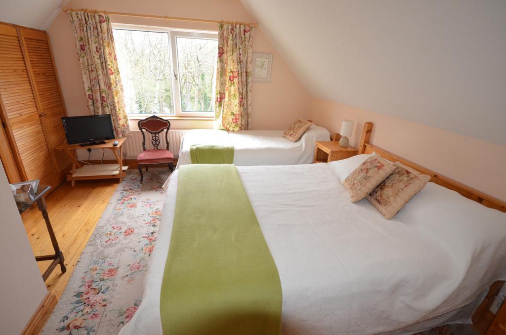 Camillaun Lodge With Lough Corrib Boat Hire Oughterard Værelse billede