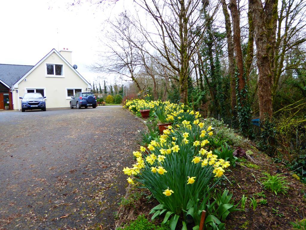 Camillaun Lodge With Lough Corrib Boat Hire Oughterard Eksteriør billede